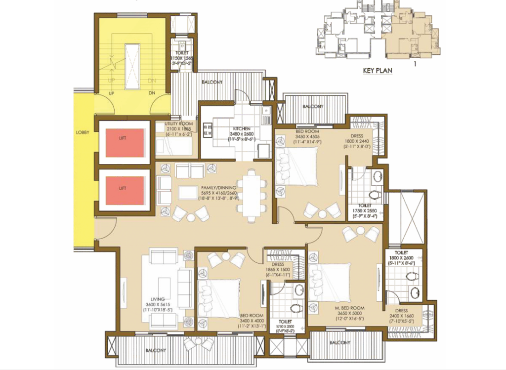 BHK Type 1