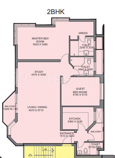 BHK Type 1