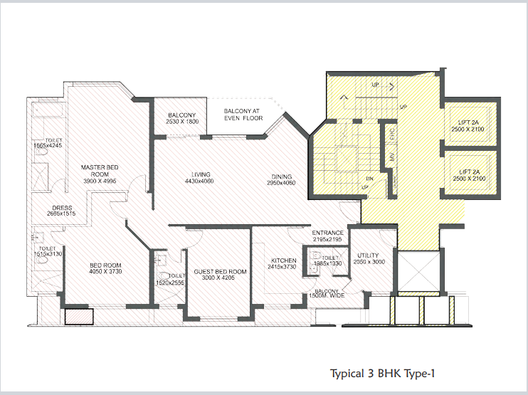 BHK Type 2